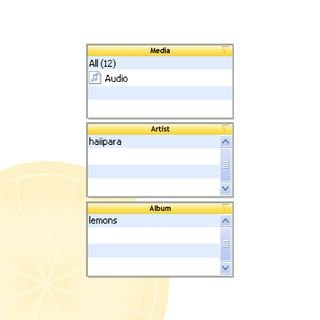 An image of a metadata search function listing the album information. A lemon appears faintly in the background.